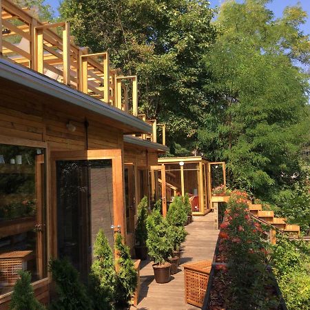 Bed and Breakfast Skay Loft Brașov Exterior foto