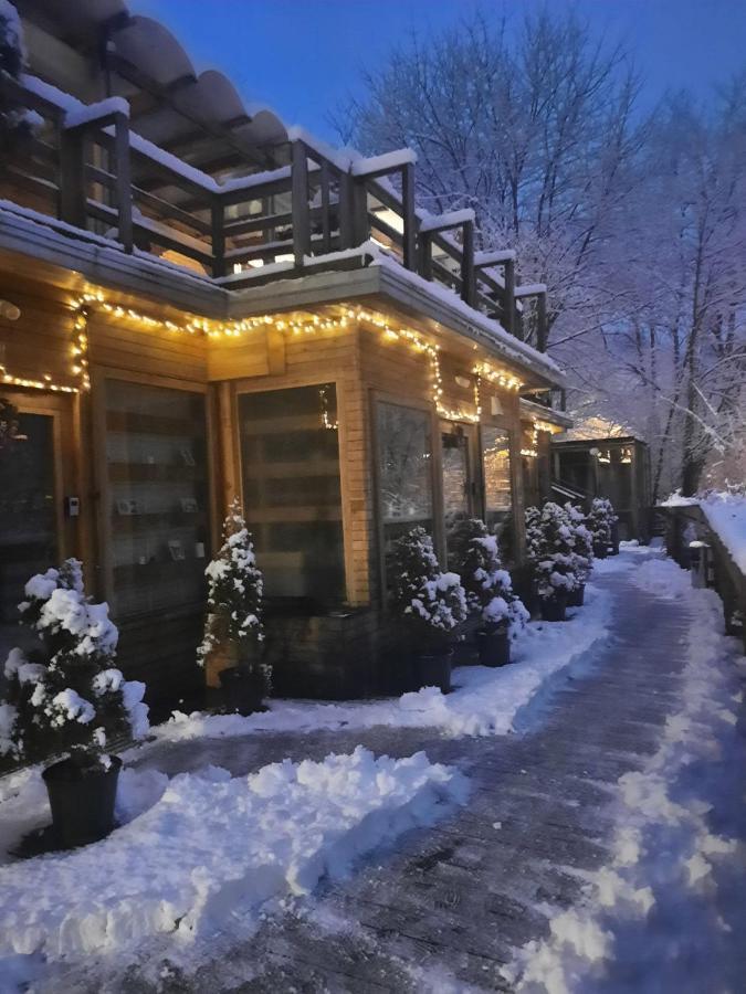 Bed and Breakfast Skay Loft Brașov Exterior foto