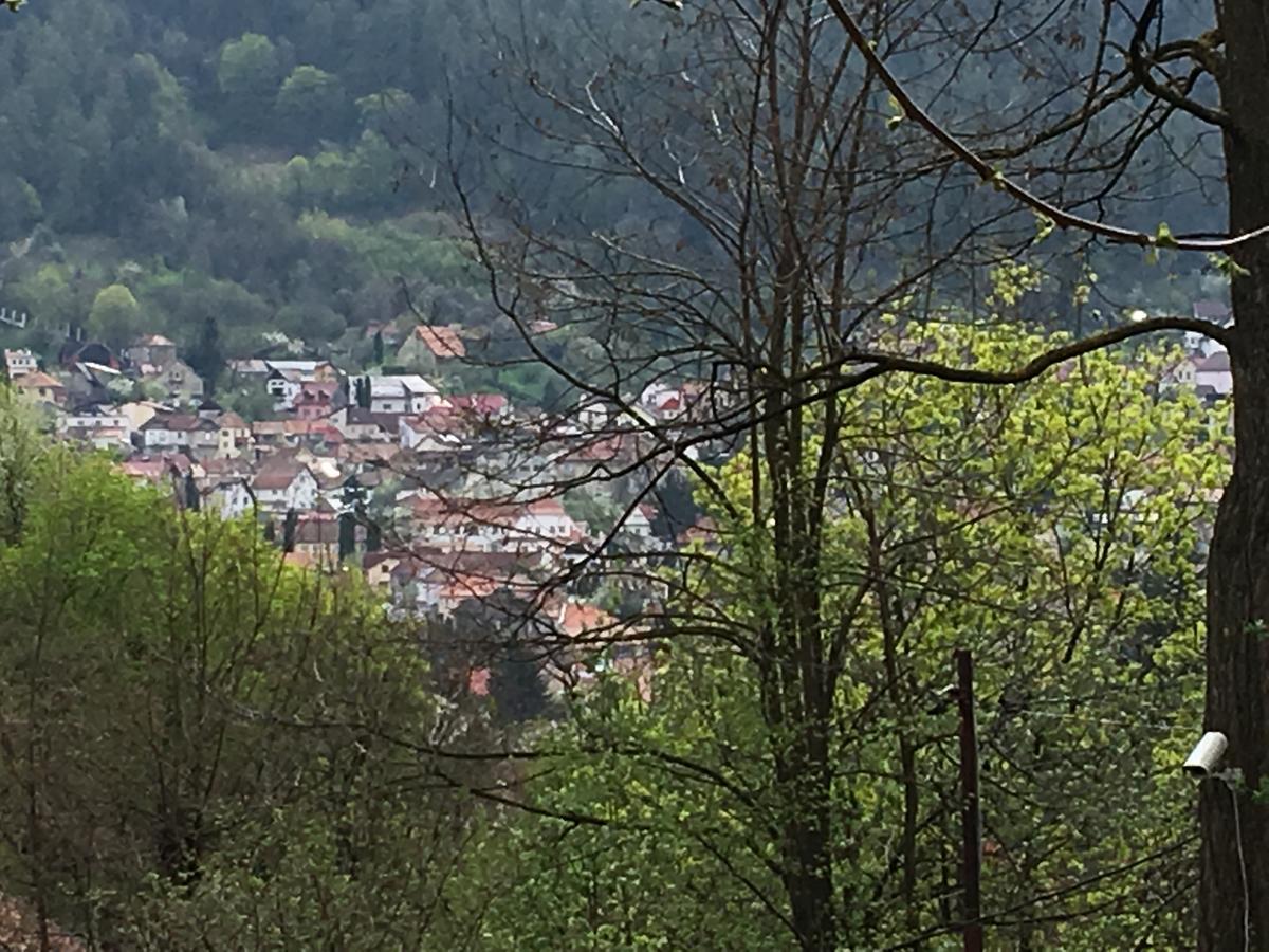 Bed and Breakfast Skay Loft Brașov Exterior foto