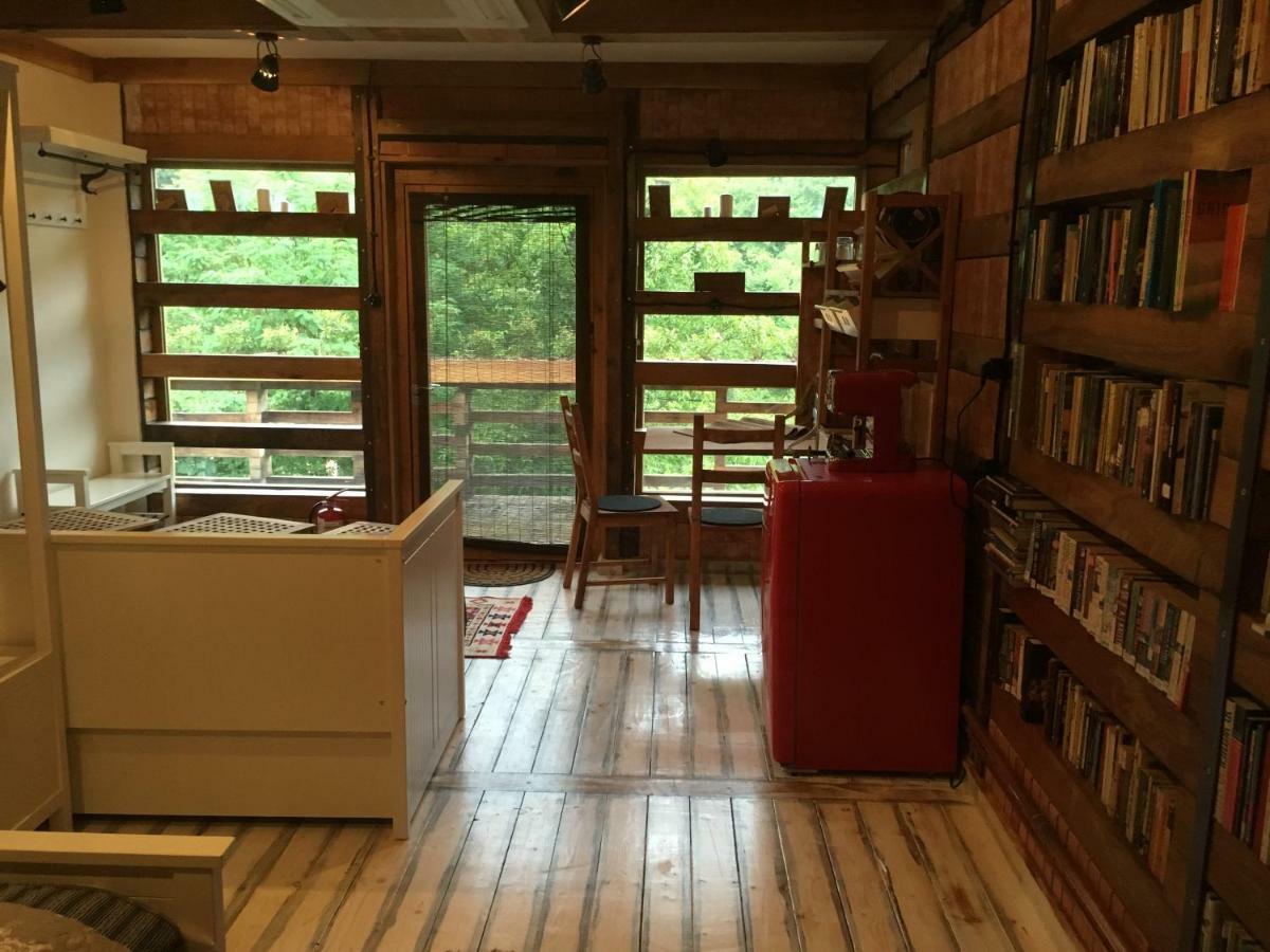 Bed and Breakfast Skay Loft Brașov Exterior foto
